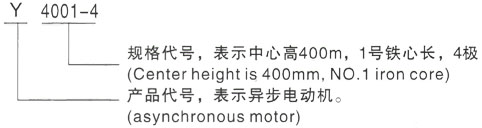 西安泰富西玛Y系列(H355-1000)高压YKS5004-2三相异步电机型号说明