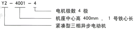 YR系列(H355-1000)高压YKS5004-2三相异步电机西安西玛电机型号说明